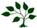 BASS Logo-gw small.gif